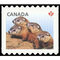 canada stamp 2604ii woodchucks 2013