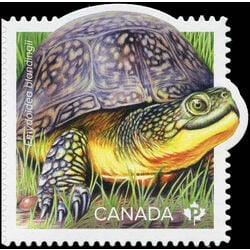 canada stamp 3179b blanding s turtle 2019