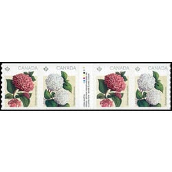 canada stamp 2898ii hydrangeas 2016 1e7bcae1 aca5 4b50 9406 8129b71bb82d