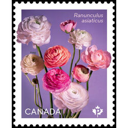 canada stamp 3372a ranunculus bouquet 2023