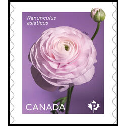 canada stamp 3374 ranunculus flower 2023