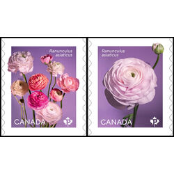 canada stamp 3373 4 ranunculus 2023