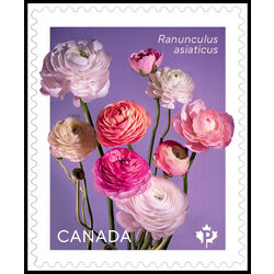 canada stamp 3375 ranunculus bouquet 2023