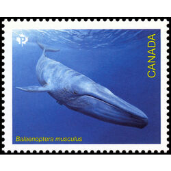 canada stamp 3327c balaenoptera musculus 2022