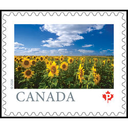 canada stamp 3439 sunflowers altona mb 2024