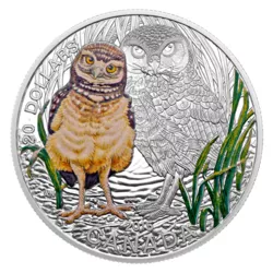 2014 the burrowing owl stamp and coin set