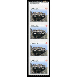 canada stamp 2506i racoons 2012 M VFNH END