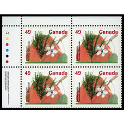 canada stamp 1364 delicious apple 49 1992 PB UL