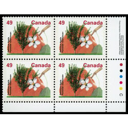 canada stamp 1364 delicious apple 49 1992 PB LR