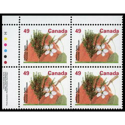 canada stamp 1364i delicious apple 49 1994 PB UL