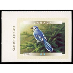 canada stamp 1846 blue jay 46 2000