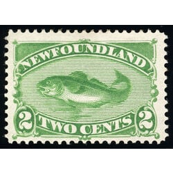 newfoundland stamp 47 codfish 2 1896