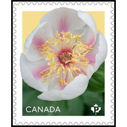 canada stamp 3489 peonies white 2025